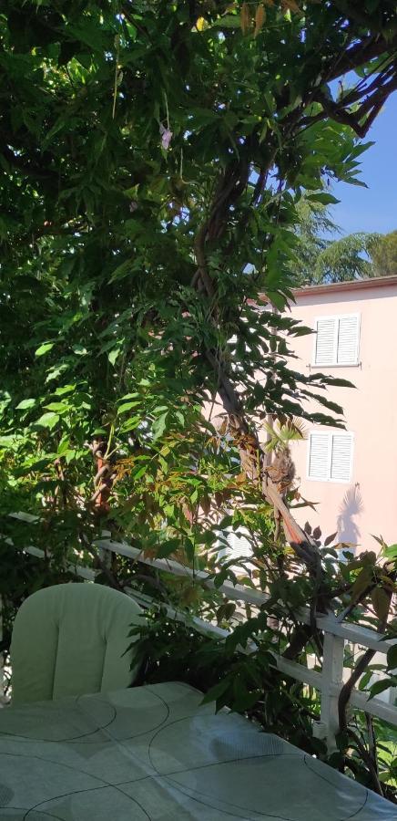 Sumamore Poreč Dış mekan fotoğraf